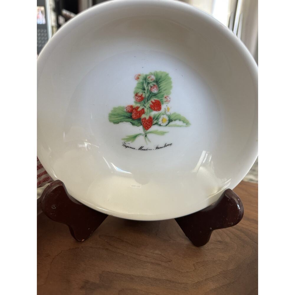 Vintage porcelain bowl “Virginia Meadow Strawberry”Made In Japanese Set Of 2